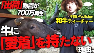 「日本一の牛飼いYouTuber」和牛ティーチャー、愛した牛の「出荷」と畜産のリアル [upl. by Yraeht]