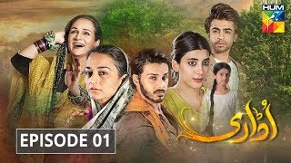 Udaari Episode 1 HUM TV Drama [upl. by Tortosa756]