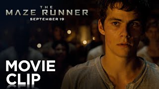 The Maze Runner  quotFightquot Clip HD  20th Century FOX [upl. by Hoes]