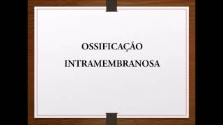 Histologia ossificação intramembranosa [upl. by Gittle]