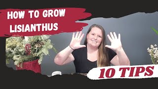 How To Grow Lisianthus From Seed  LISIANTHUS Complete Growing Guide 10 Tips For Growing Lisianthus [upl. by Little]