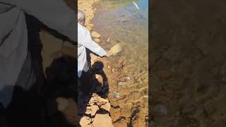 Yardibi Barajı Sazan Avı Saimbeyli Boncuklu Rig Takımı 😲😲😲🧿🧿🤗🎣🐬🐬🎣 fishing sazanavi carpfishing [upl. by Bihas]