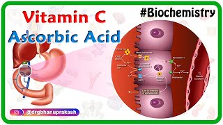 Vitamin C  Ascorbic acid Animation  MetabolismSources Synthesis  functions Scurvy [upl. by Nidorf907]