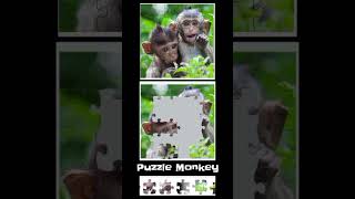 Puzzle shorts monkey game [upl. by Neerual]