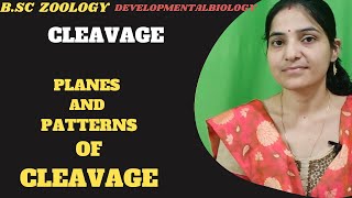 CleavagePlanes And Patterns Of Cleavage BSc 3rd year Developmental biologyCleavage Embryology [upl. by Maureen]