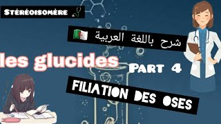 les glucides filiation des oses  part 4 [upl. by Culbertson]