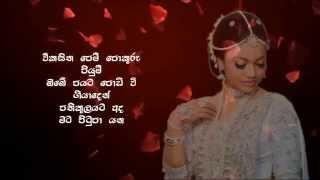 Vikasitha Pem Pokuru Piyum WD Amaradeva  විකසිත පෙම් පොකුරු පියුම් [upl. by Adidnac984]