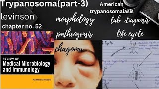 American Tryoanosomiasis Trypanosoma cruzimorphology life cycle pathogenesis lab diagnosis [upl. by Naples]