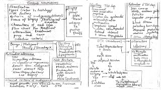 Thyroid 2 Thyroid Neoplasms [upl. by Annaitsirhc]