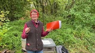 Live von Pias Bienenstand  01112024  Einwintern Aufräumen am VarroaStand [upl. by Otrebliw]