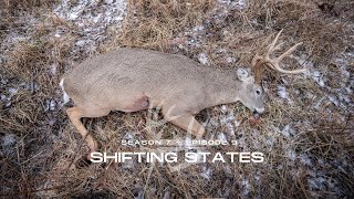 Bowhunting Whitetails In Kansas amp Oklahoma [upl. by Ponce]