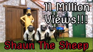 Shaun the Sheep on Stage  شون الخراف  Барашек Шон  ひつじのショーン  Σον Το Πρόβατο [upl. by Groot]