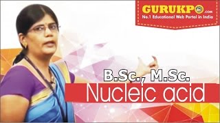 Nucleic acid Lecture BSc Zoology by Dr Priyanka Dadupanthi [upl. by Roskes]