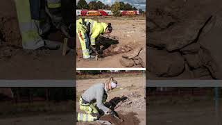 Unusual Iron Age Female Grave Found in Pryssgården Sweden [upl. by Berkshire]