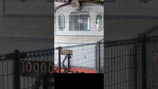 【しなの鉄道・軽井沢駅】本編動画↑ 貴重な車両・昔の駅名標 2024年9月4日  shorts 鉄道  railways [upl. by Haukom]