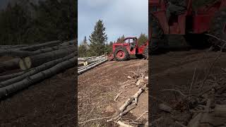 230 Timberjack skidder shorts timberjack youtubeshort vlog [upl. by Aikehs]