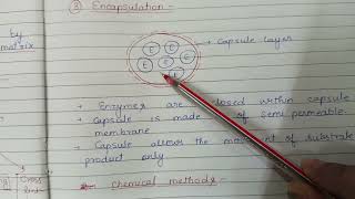 Enzyme Immobilization [upl. by Retsel225]