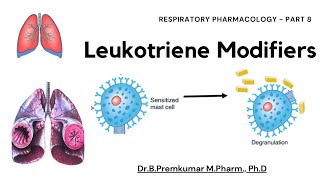 Leukotriene modifiers  Respiratory Pharmacology  Part 8 [upl. by Hardi667]