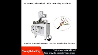 Multi Cores Cable crimping machine [upl. by Leira]