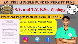 SY and TY BSc Zoology Practical Paper Pattern SPPU SemIII and V [upl. by Niatsirk954]