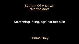 System Of A Down  Marmalade Drums Only [upl. by Nnaytsirk]