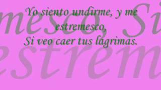 Aventura  Lagrimas Lyrics [upl. by Hanyaz]