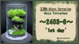 Moss Terrarium ～24036～ Long Ver コケリウム terrarium 苔テラリウム 苔 moss [upl. by Anitsyrhc]