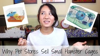 Why Pet Stores Sell Small Hamster Cages [upl. by Yelrak881]