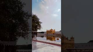 Dhan Shri Guru Ramdas Sahib Ji darbarsahib hukamnama travel youtubeshorts trending [upl. by Marsland]