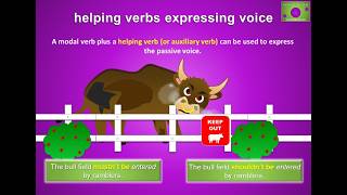 Helping auxiliary verbs expressing the PASSIVE VOICE Grammar lesson [upl. by Annuhsal]