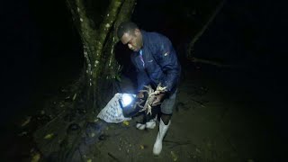 Catching Land Crabs at Night Catch amp Cook🇫🇯 [upl. by Joses780]