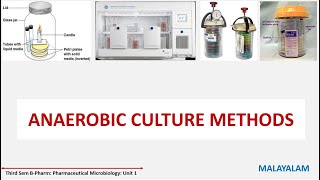 Bacterial Culture method Part 2 Anaerobic Culture Methods Anaerobiosis MALAYALAM [upl. by Atnauqahs195]