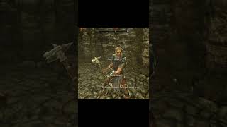 Skyrim ٠ What Happens if You Use the Voice of the Emperor on Stormcloaks in Helgen skyrim [upl. by Barbara]