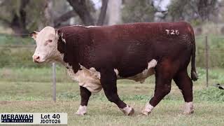 Lot 40 JDOT026 Merawah 2024 [upl. by Ahsekan337]