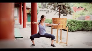 8 Brocades Qigong Practice [upl. by Ahsuat]