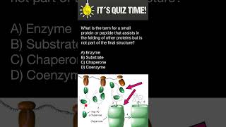 How Proteins are folded [upl. by Borszcz]