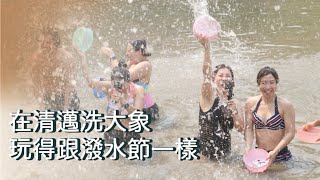 【清邁ep4】我已經不知道是在洗大象還我在洗澡了 [upl. by Edmanda321]