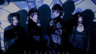 raith 1st single 「Scabiosa」 試聴動画 [upl. by Demetri]