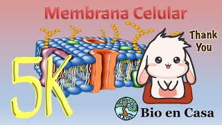 TODO sobre Membrana celular [upl. by Nadeen]