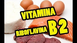 Riboflavina Vitamina B2  vitamina energética [upl. by Akinohs]