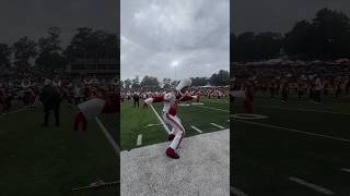 Tuskegee University Marching Crimson Pipers Drum Major❤️💛🐅💛❤️🐅 [upl. by Ynaffet]