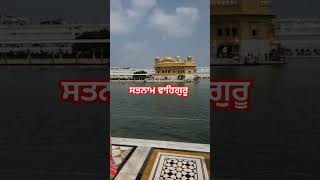 ਅੰਮ੍ਰਿਤਸਰ ਸਾਹਿਬ Amritsar sahib viralvideo vlog [upl. by Edme]