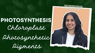 Photosynthesis  Part 2  NEET  Class 12  photosynthetic pigments  Palak Narang [upl. by Martinson]