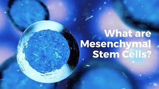 What are mesenchymal stem cells [upl. by Ellebasi]