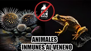 ¿Creías que el Veneno era Mortal Conoce a Estos Intrépidos Animales que lo Desafían 😱 [upl. by Rednas]