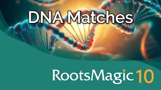 Mastering DNA Matches in RootsMagic 10 [upl. by Ellehcal618]