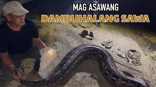 MAGASAWANG DAMBUHALANG SAWA [upl. by Kruter]