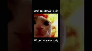 What does LMAO mean wrong answer only in the comments [upl. by Le206]