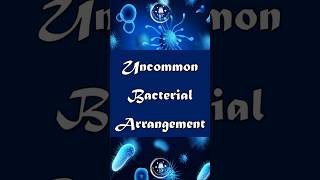 Bacterial Shapes Explained Vibrio Spirilli Pleomorphic and More bacterialdiseases biology [upl. by Lleznol]