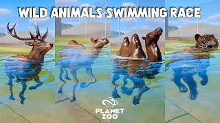 Bactrian Camel Dromedary Camel Red Deer Jaguar Cassowary  Planet Zoo Animals Swimming Race [upl. by Irdua]